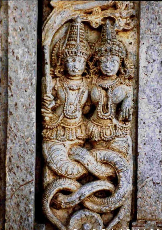 NagasovéNágové jsou v hinduismu a buddhismu známí jako mýtická stvoření podobná hadům. By...